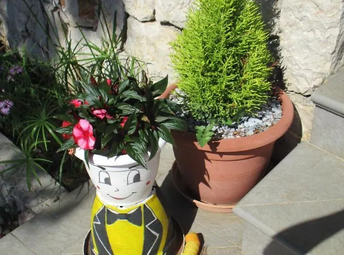 Sobe Bukaleta Bed and Breakfast