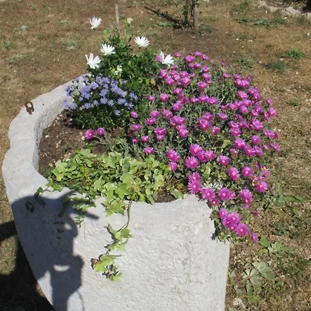 B&B Sobe Bukaleta 3*