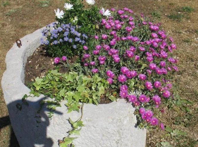 Alojamento de Acomodação e Pequeno-almoço Sobe Bukaleta 3*